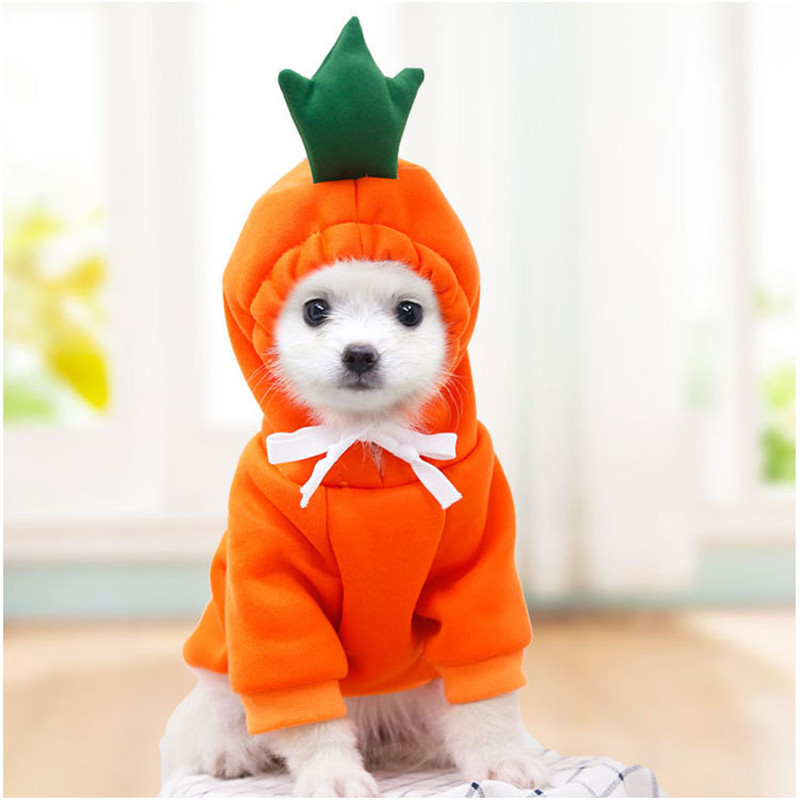 Cute Fruit Dog Clothes for Sma - Winter Clothing Pictures 评论和价格