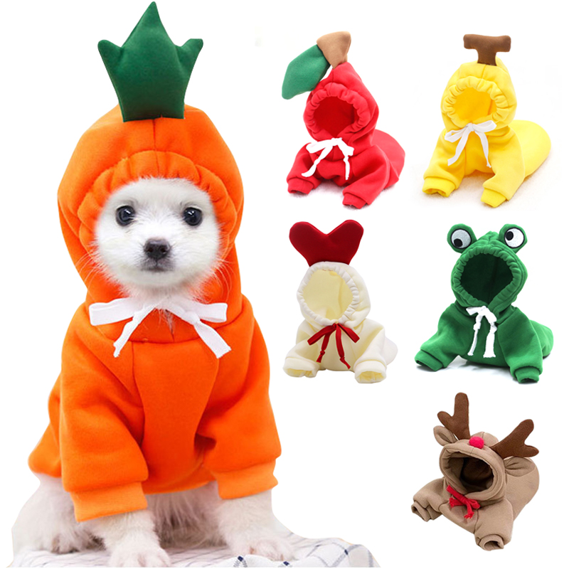 Cute Fruit Dog Clothes for Sma - Winter Clothing Pictures 评论和价格