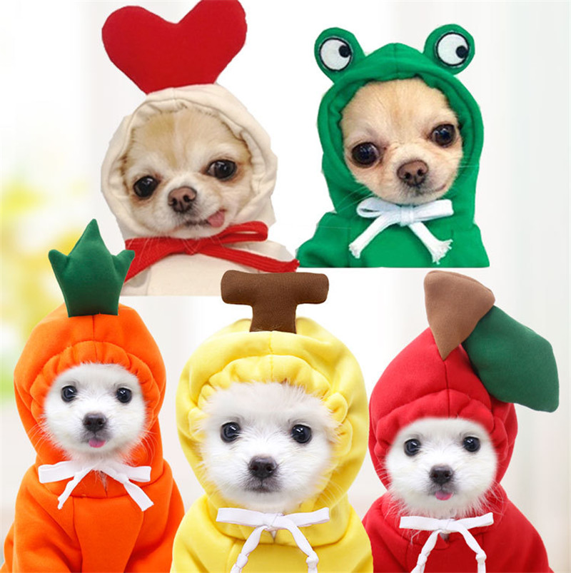 Cute Fruit Dog Clothes for Sma - Winter Clothing Pictures 评论和价格