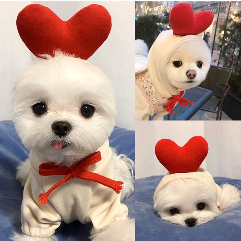 Cute Fruit Dog Clothes for Sma - Winter Clothing Pictures 评论和价格
